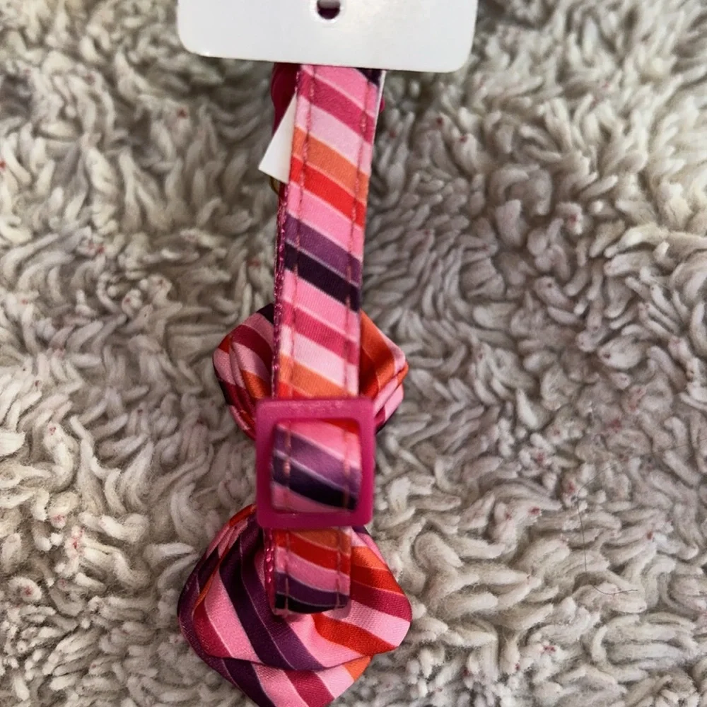 Whisker City Love Going Out Striped Bow Kitten Collar